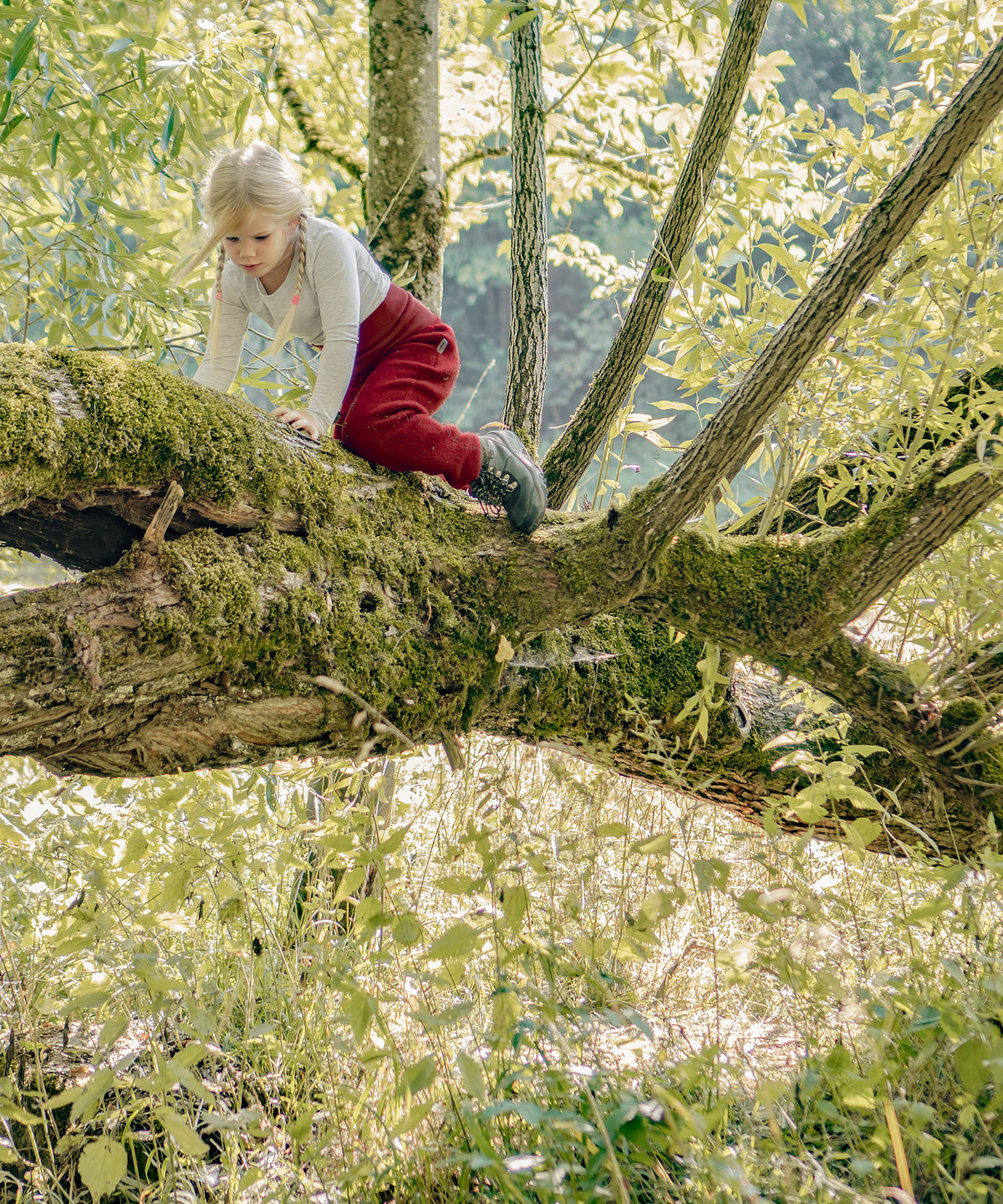 Kind klettert auf einem Baum.